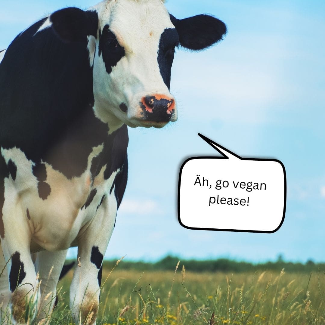 Gute Gründe, um vegan zu leben
